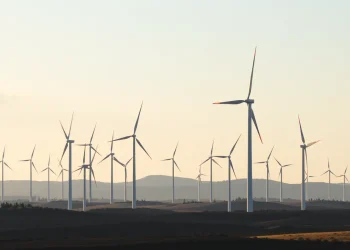 Wind turbine giant Vestas unable to absorb tariff costs, predicts price hikes in the US