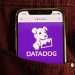 Datadog stock price as the crash continues: can it plunge to $100?
